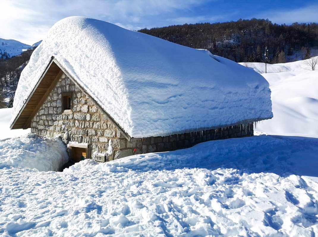 parcoDF's tweet image. Un buon Natale dalle Dolomiti più selvagge!

#BuonNatale #ParcoDolomitiFriulane #BuoneFeste #FineAnno #Montagnadascoprire
