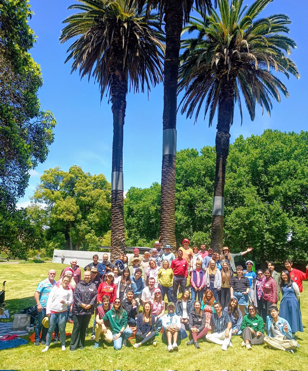 Melbourne Social Club and Fun Food & Friendship tweet media