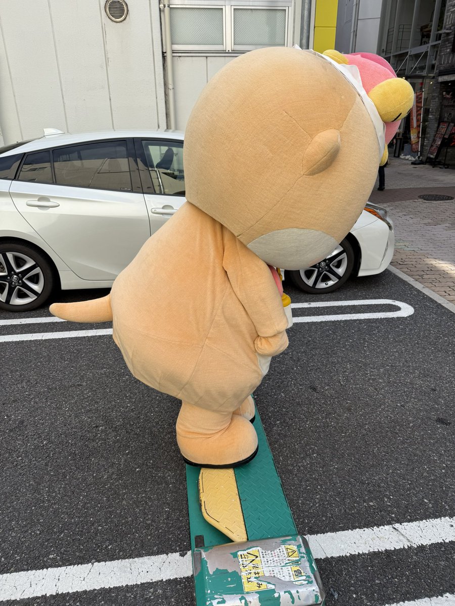 公式：ちぃたん☆広島 (@chiitanmomiji) / Posts / X