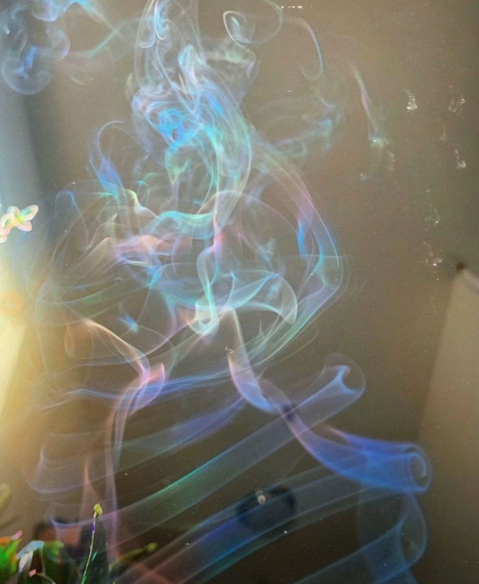 sera (@seraphicxc) on Twitter photo 