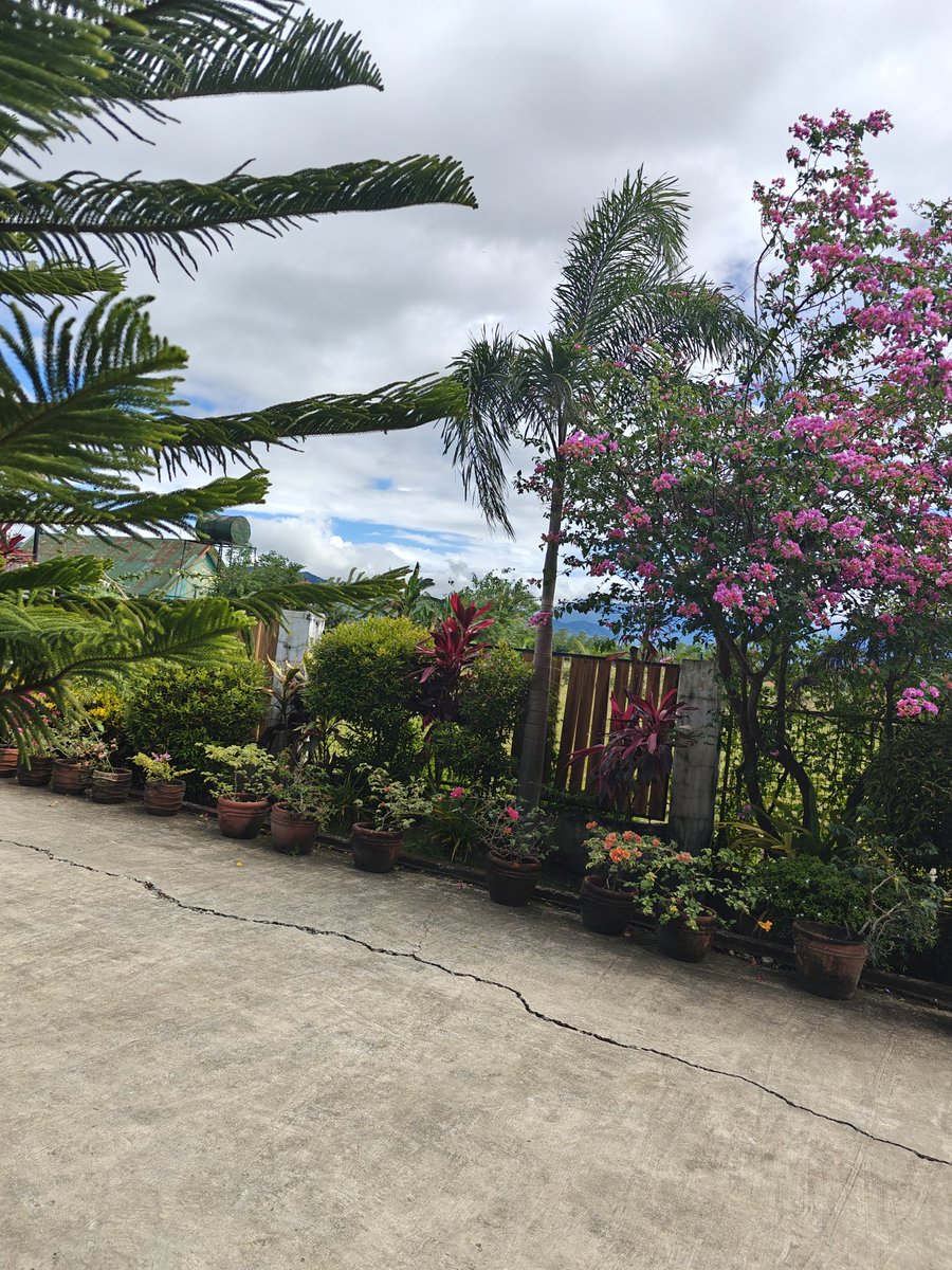 nuwel | GAM3S.GG | 🇵🇭 🇨🇦 tweet media