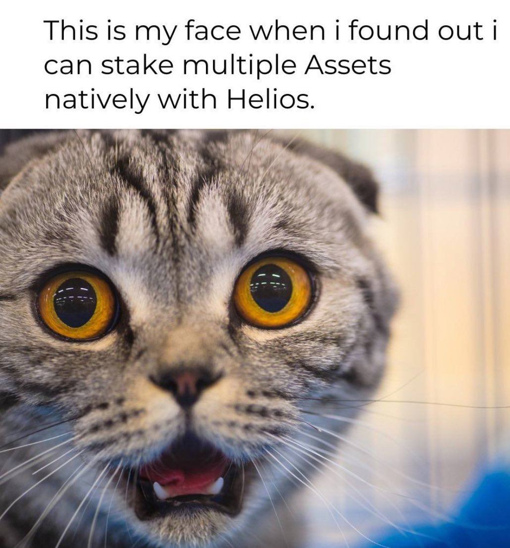 Blueonchains's tweet image. Honestly, apart from the $120k $HLS reward on @MindoAI leaderboard, the product that @helios_layer1 has is already juicy enough 

We all know liquidity is fragmented across L1/L2/L3 right?  Helios ($HLS) fixes this with an ETF Native Architecture

@helios_layer1 enables…