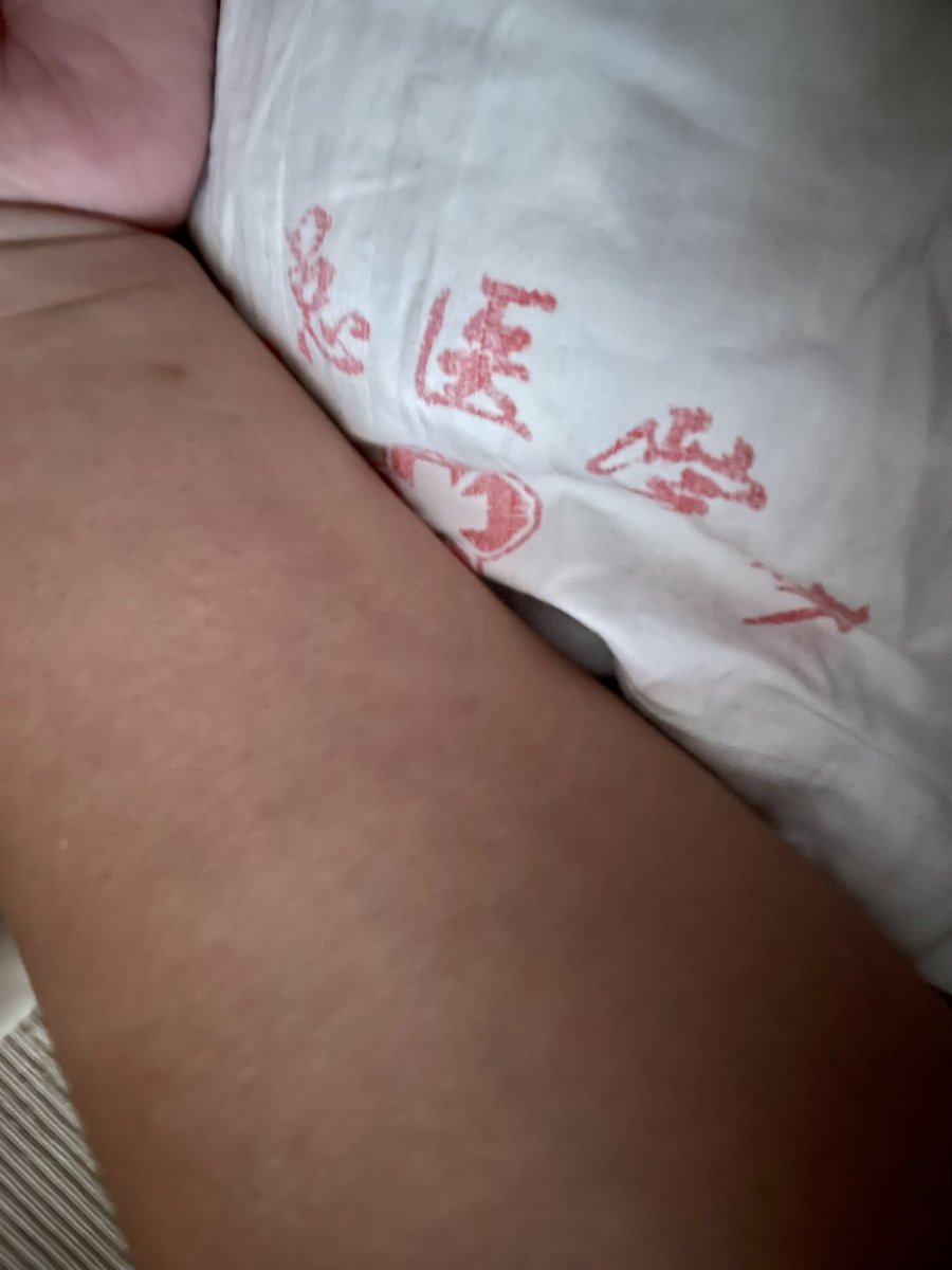 呆呆熊 tweet media