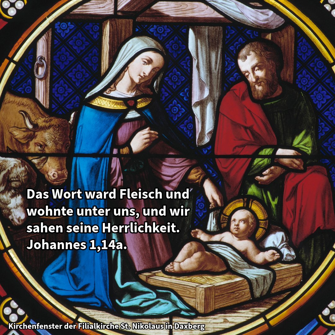 Gott bleibt nicht auf Abstand: Er kommt uns so nah, dass man ihn berühren kann. Nicht als Idee, sondern als Mensch – mit Wärme, Tränen, Atem. Wer ihn anschaut, sieht mehr als ein Kind: Gottes Licht mitten in unserer Nacht. #Wochenspruch #Weihnachten #Jesus #Microandacht