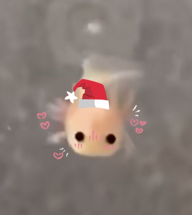 Feliz navidad! ♡♡♡