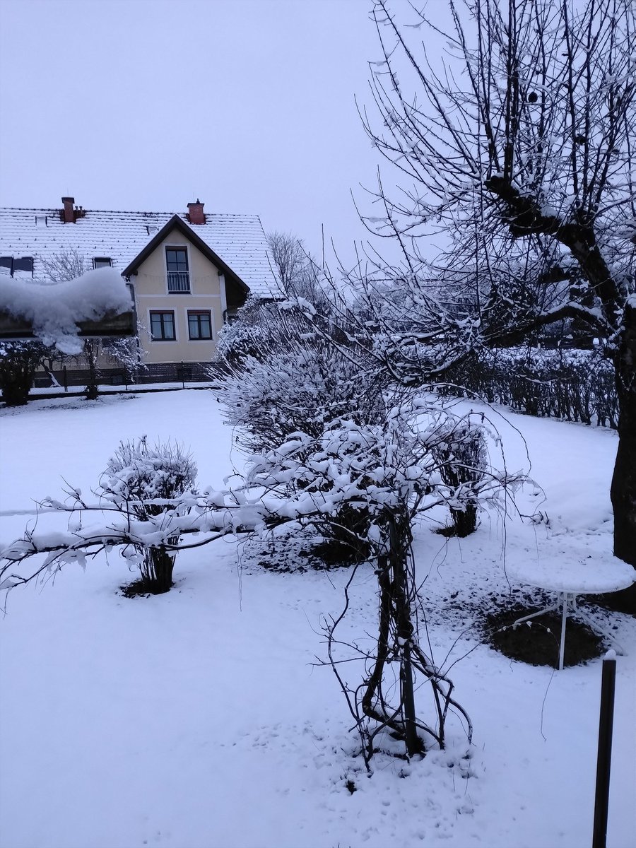 Dobro jutro