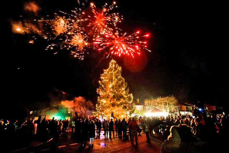 43년 동안 키운 크리스마스 트리