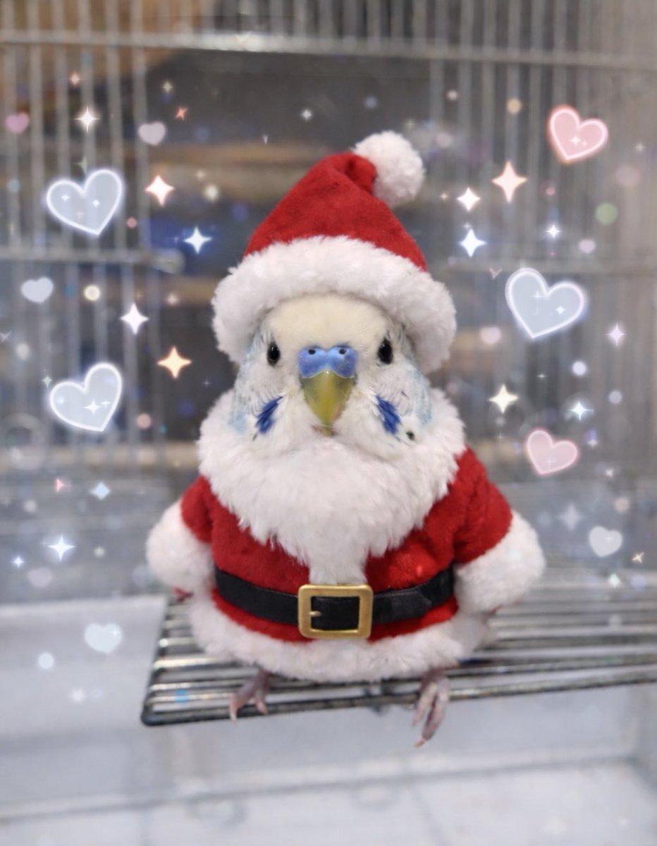 メリークリスマス🎄
なっちゃんサンタ(笑)