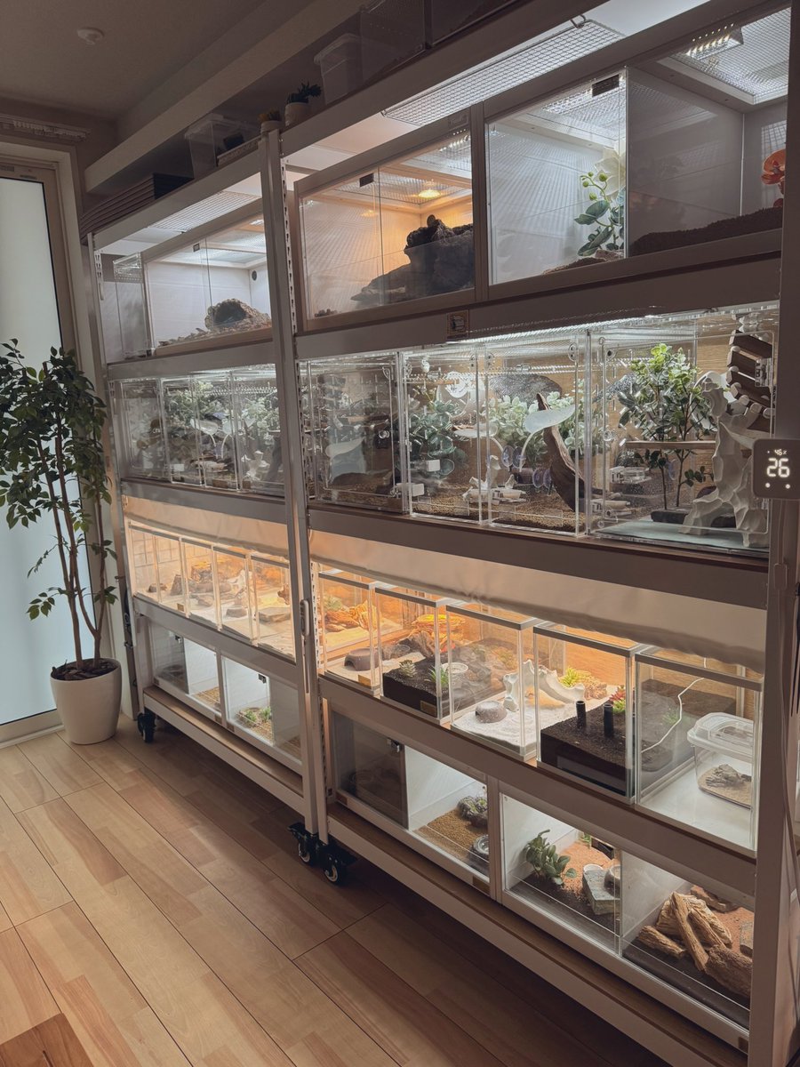 FandK 爬虫類木製ケージ (@mokusei_keiji_2) / Posts / X