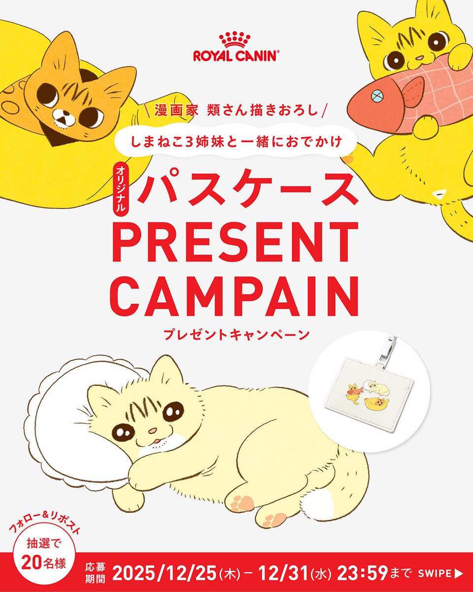 あ〜きゃん♬様　3点おまとめ あ〜きゃん♬様 3点おまとめ ZXまとめて取引ok様 リクエスト 3点