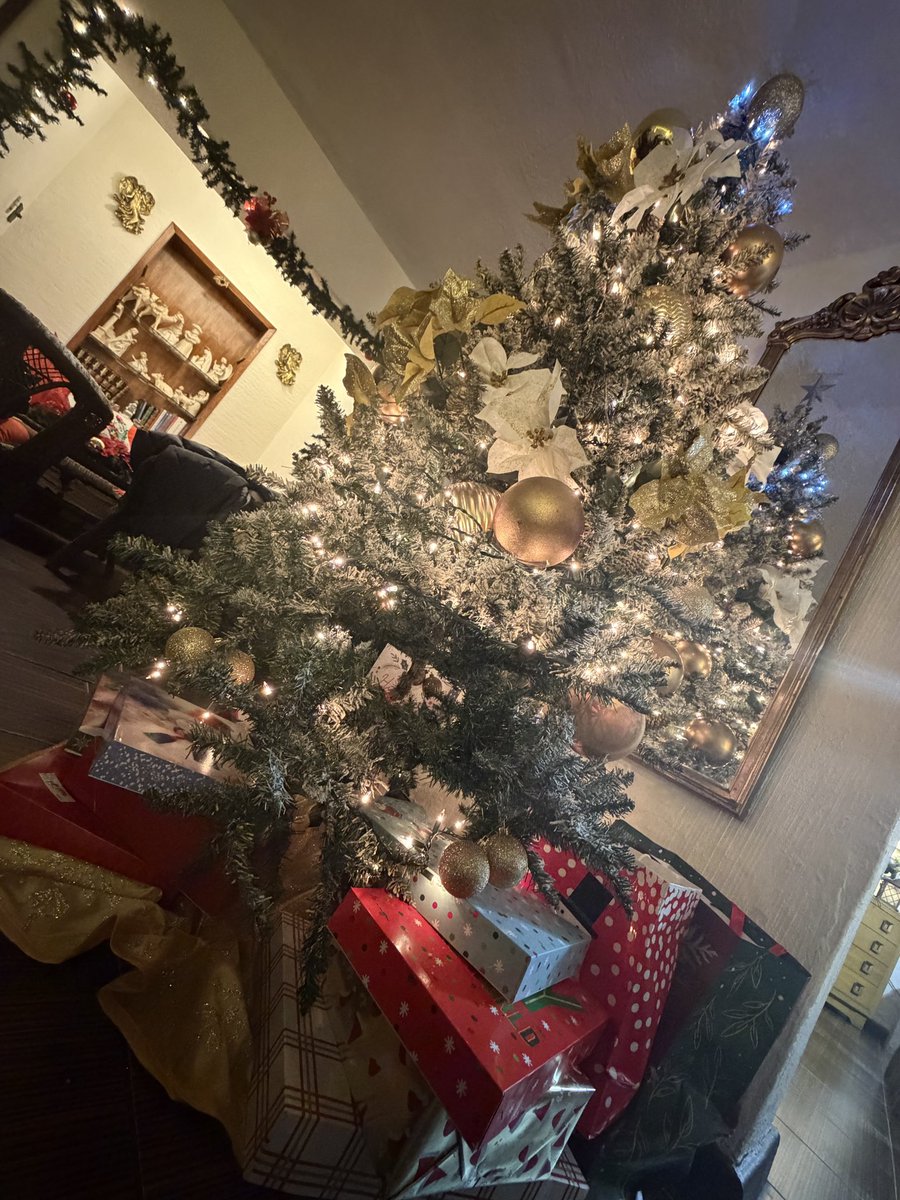 Celebrando 🎉 la #NocheBuena 🌑 y festejando 🎊 la #Navidad 🎄en #familia 🧑‍🧑‍🧒‍🧒.

#FelicesFiestas #HappyHolidays #ChristmasEve #Christmas #Family