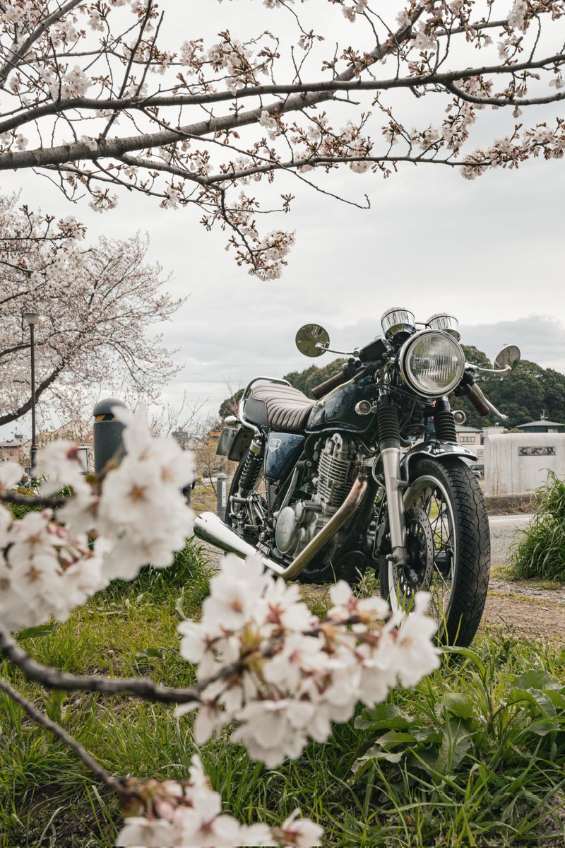 vtrzso's tweet image. （勝手に）#2025年を写真4枚で振り返る