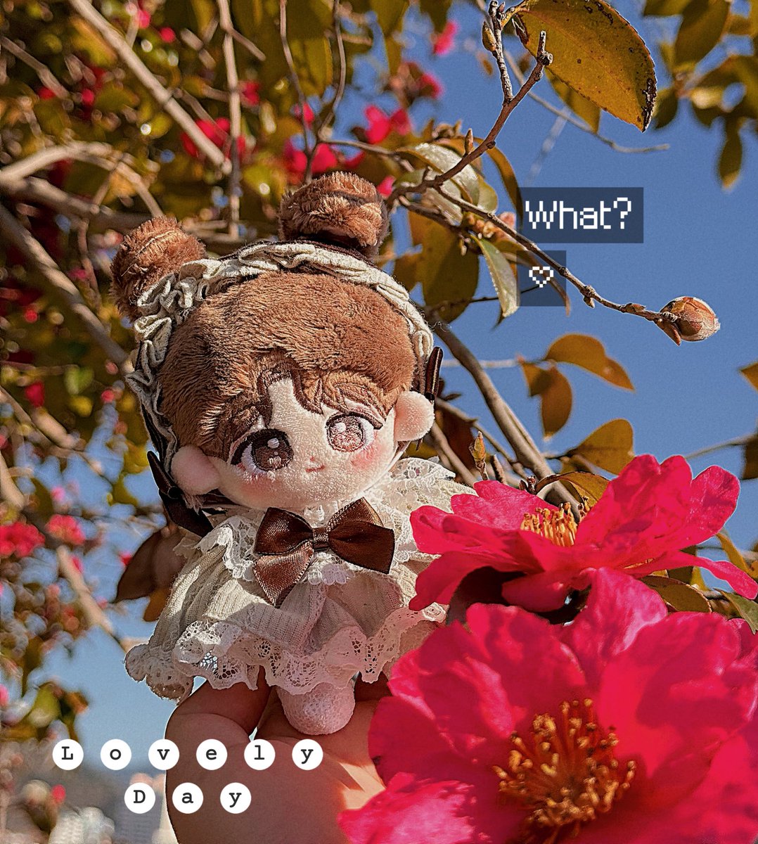 jellyhouse04's tweet photo. 🌺🌺🌺🌺

🫶🏻 @Jam__pril https://t.co/fatIm4bPiY