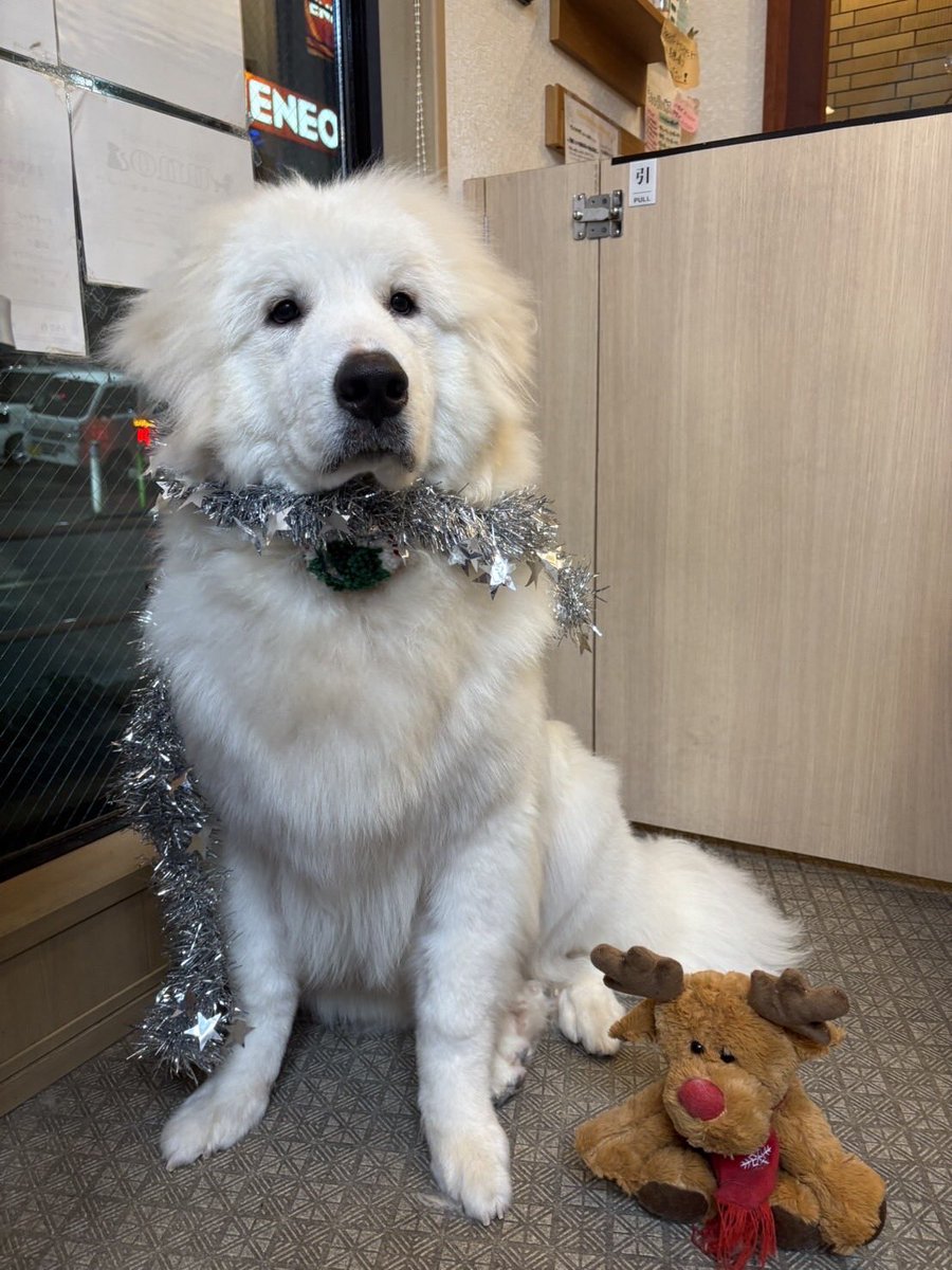 きょんページ きょん。 (@kyon_tokiiro) • Threads, Say more