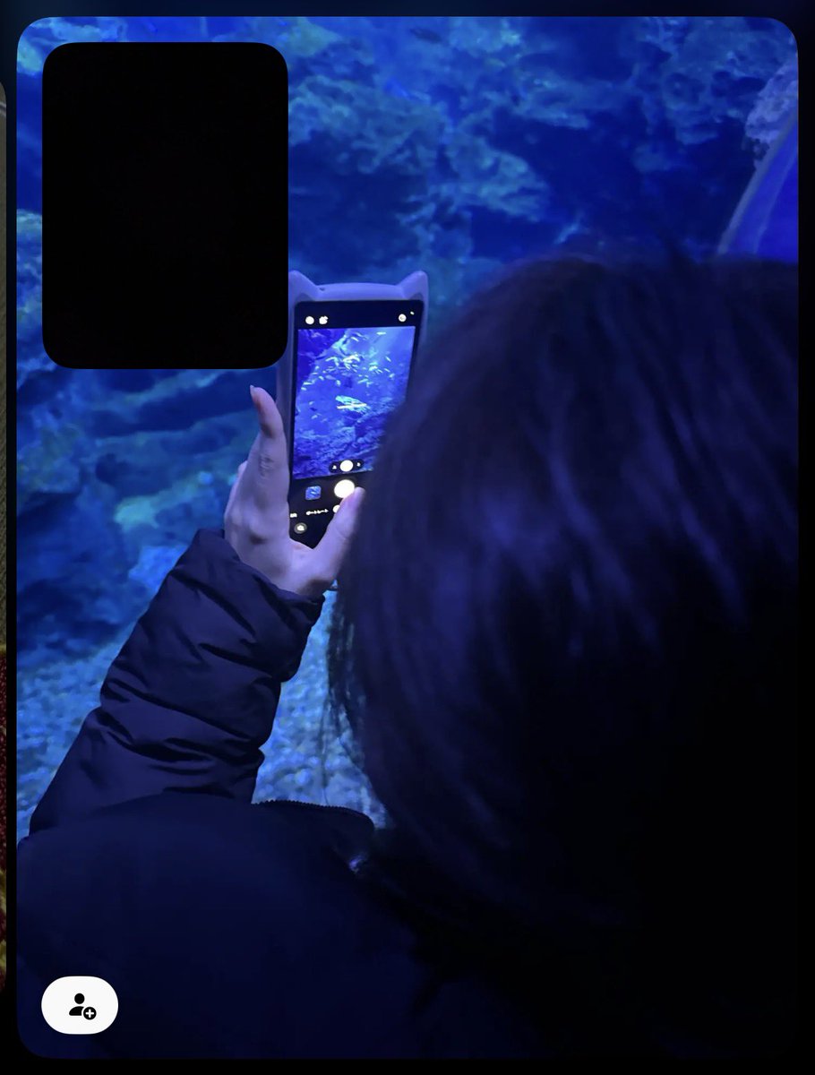 かえで🎖ゾンクラ横浜②大阪① tweet media