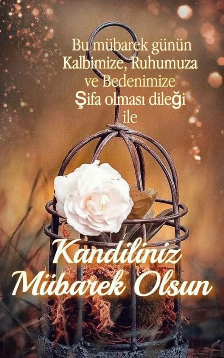 Gönlü papatya kadar
 saf ve temiz olanlara 
selam olsun.."✍️🤌

                 Olsun mu 
Olsun👈

GÜNAYDIN🌹