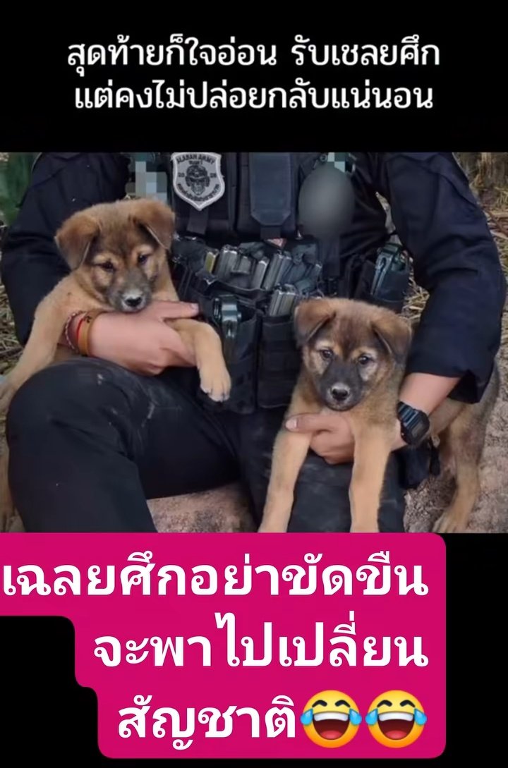 nivimutti's tweet photo. 😄 😄 💂🇹🇭🙏 ขอบคุณเมตตาจิตของทหารไทยเรานะคะ เห็นลูกหมา หมาใหญ่ ผอมโซทั้งนั้น น่าสงสารมาก 😄🙏💂

cr. : ขอบคุณ fb.คุณชัยญากรณ์ค่ะ https://t.co/4B2Kh328yV