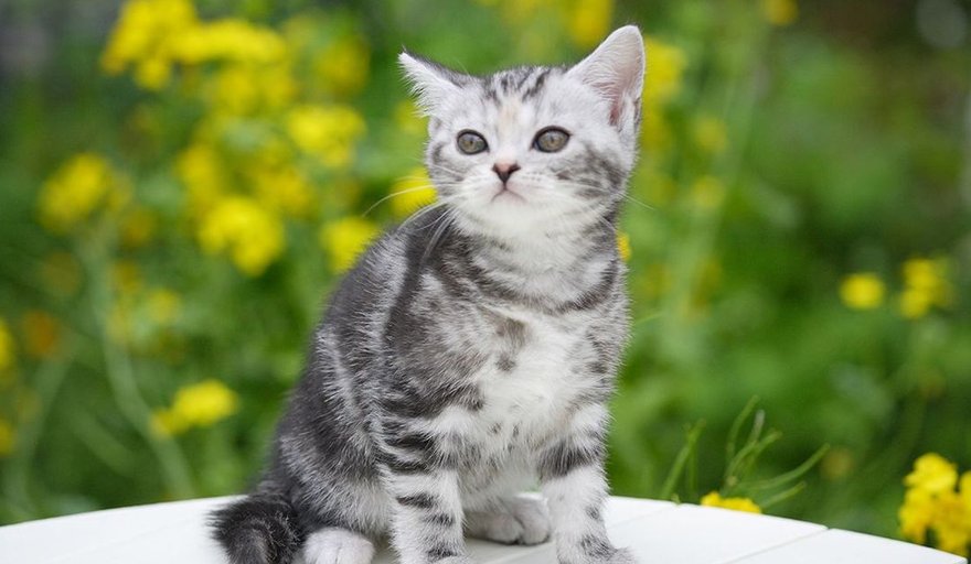 devotion_hub's tweet image. 髪乾かして寝よしてから静かに過ごそ 🌸 🥃