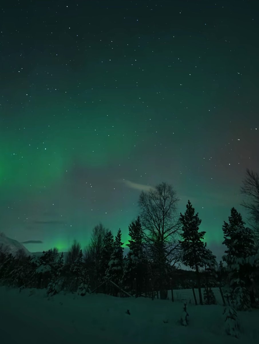 Wannawave (@wannawave) on Twitter photo 