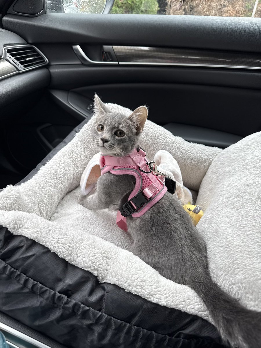 itstsuni's tweet image. my child