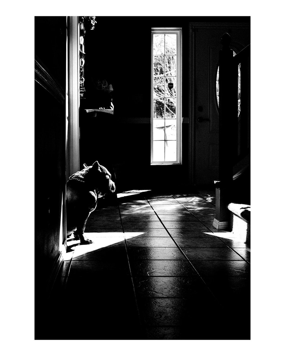 Jared Hughes tweet media