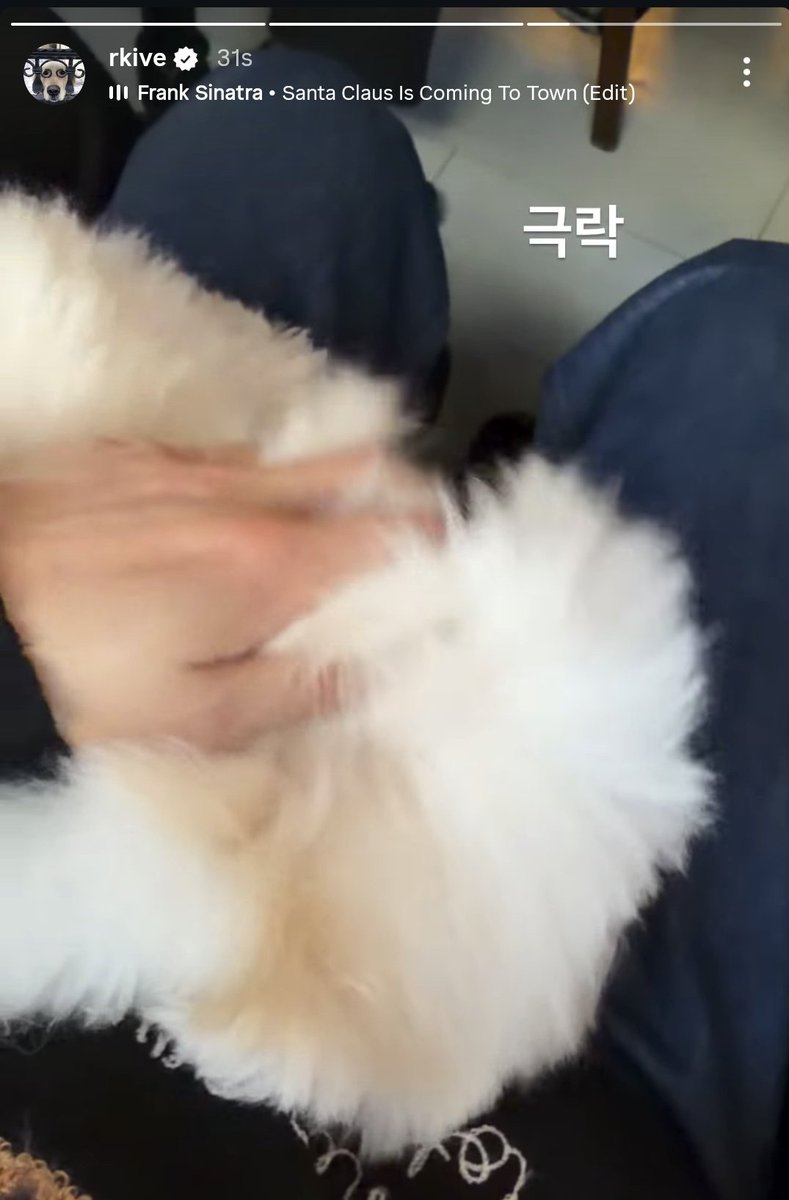 myyouwithjk's tweet image. WHOSE CAT IS THIS NAMJOON