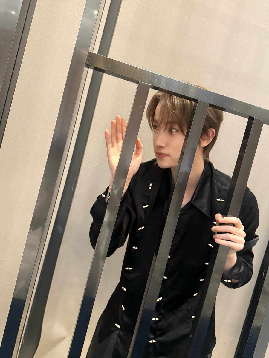 TEMPEST JAPAN OFFICIAL tweet media