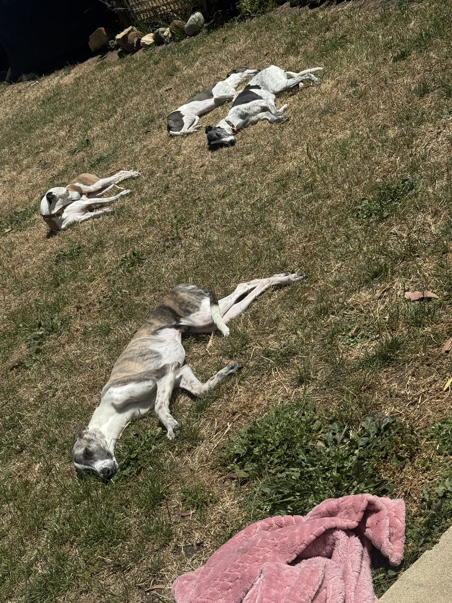 Post lunch vibes are strong