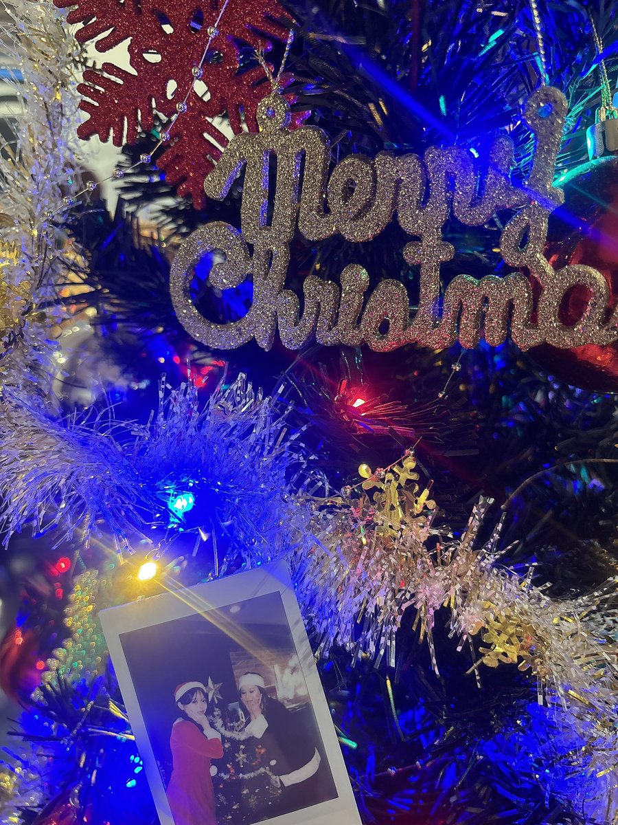 メリークリスマス、日曜日まで割引 クリスマス「予定なし」が半数以上！ ケーキに七面鳥…クリスマスの