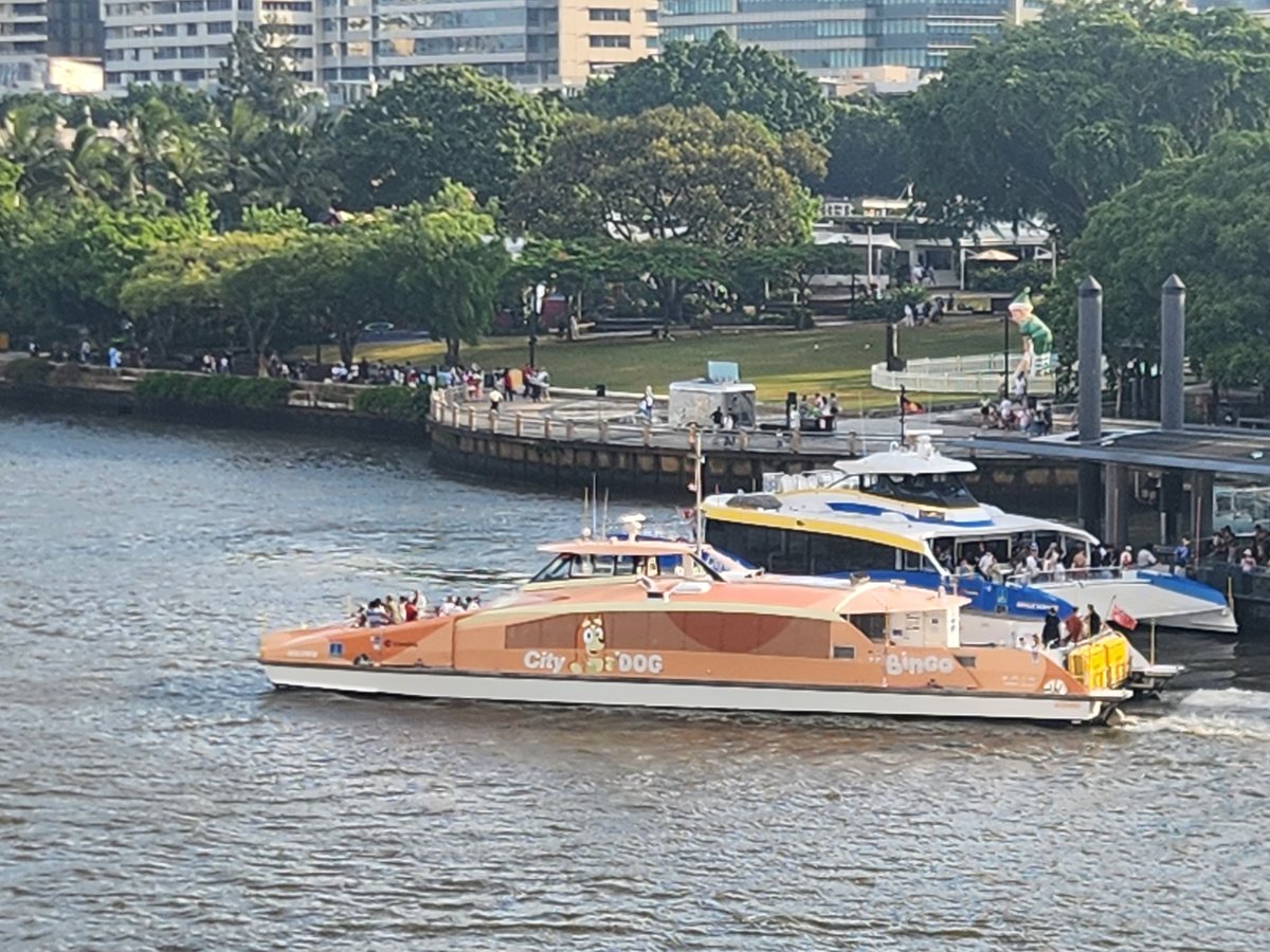 City Cat now becomes City Dog.