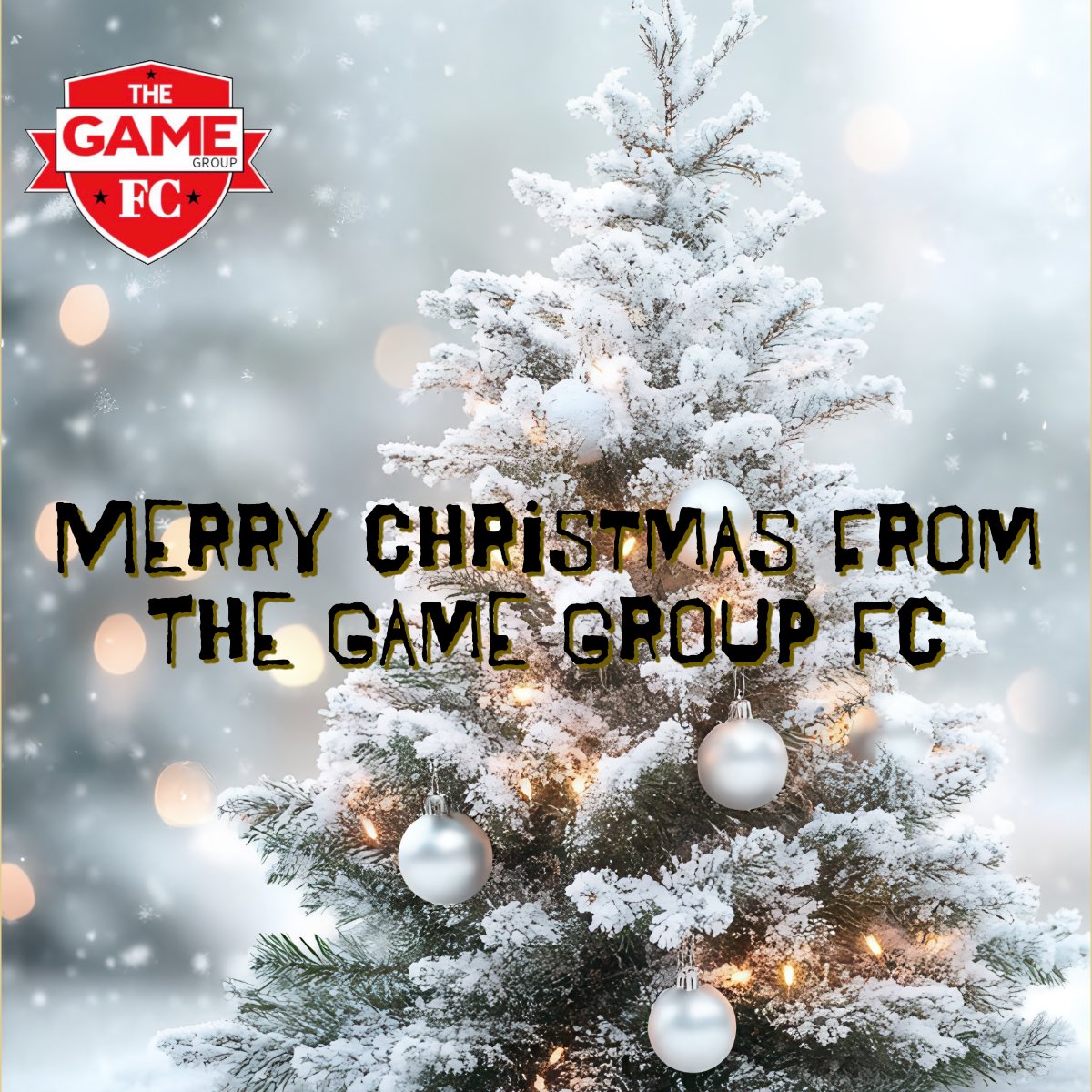 The Game Group FC tweet media