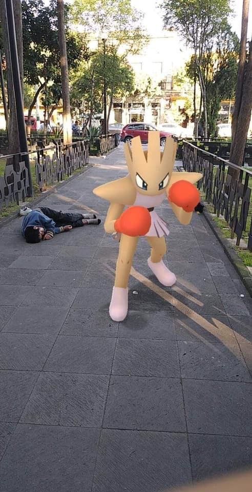 Pokémon Daily (@pokemon_dailyy) on Twitter photo 