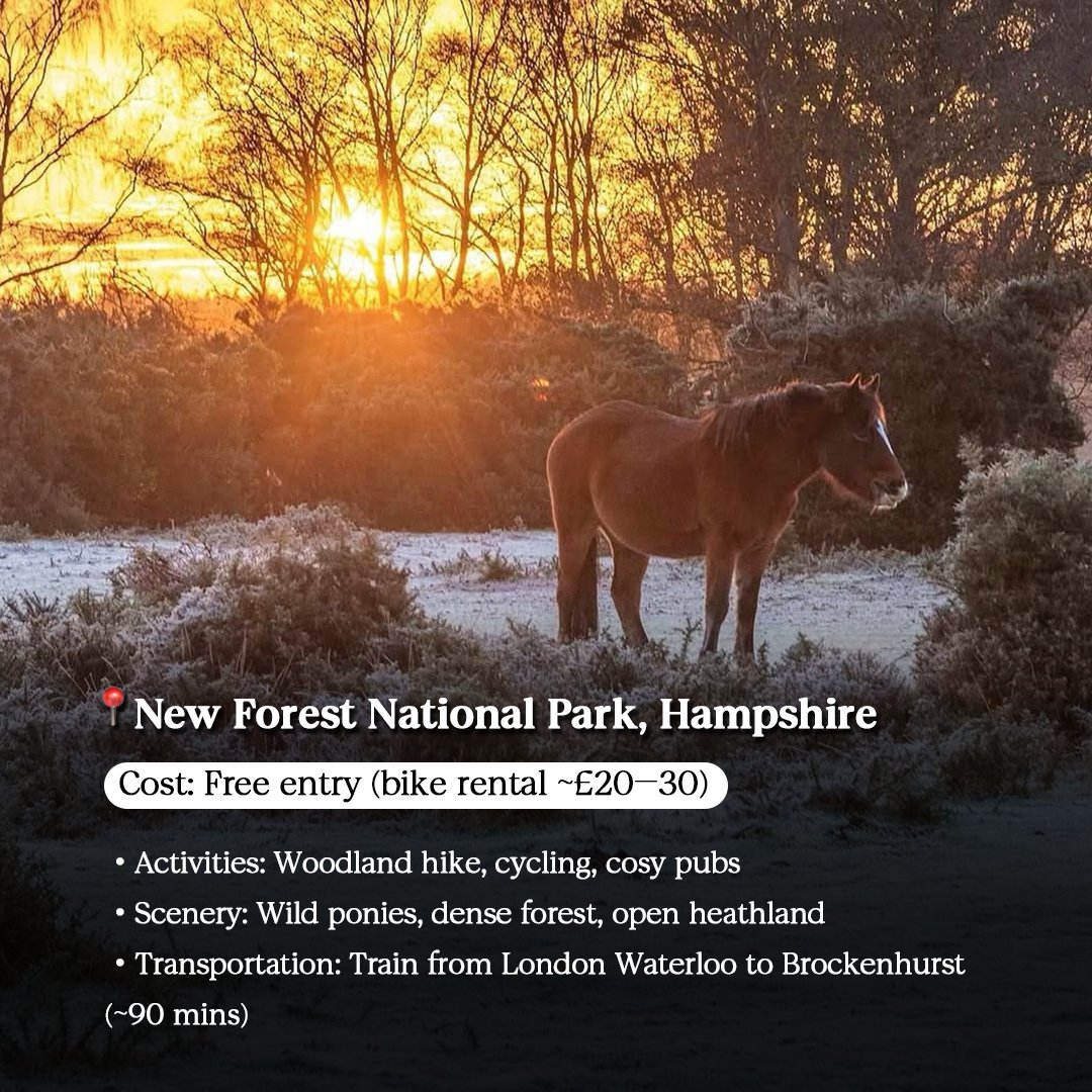 Trip's tweet image. Winter in London doesn’t mean staying indoors. Hop on a steam train, wander misty meadows, spot wild ponies or ice skate by iconic museums — all just minutes or an hour from the city. Learn more at us.trip.com/travel-guide/d…
