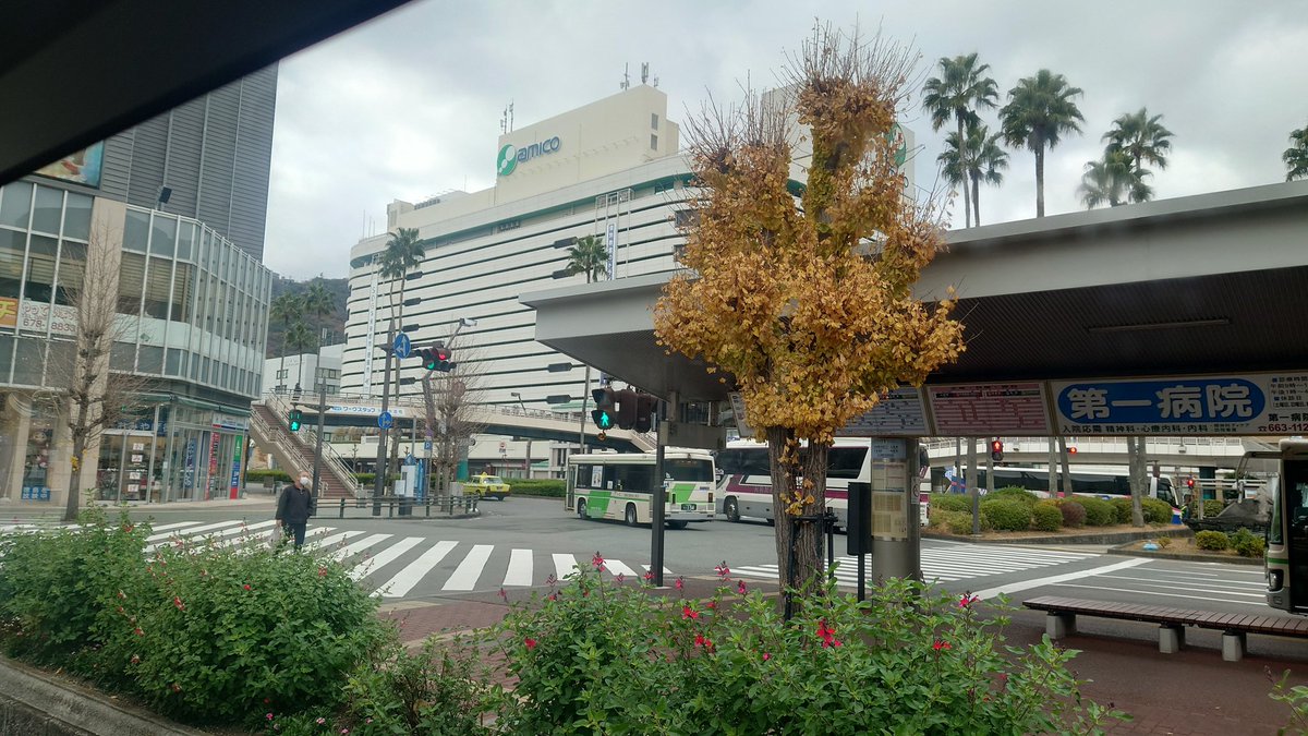 おはようとくしま〜！

久しぶりに体調良くなって元気出てきたぬ
冬場は油断したらダメたぬねぇ
さて、これからお昼を食べに行ってきますたぬ〜(=´ω｀=)🍜