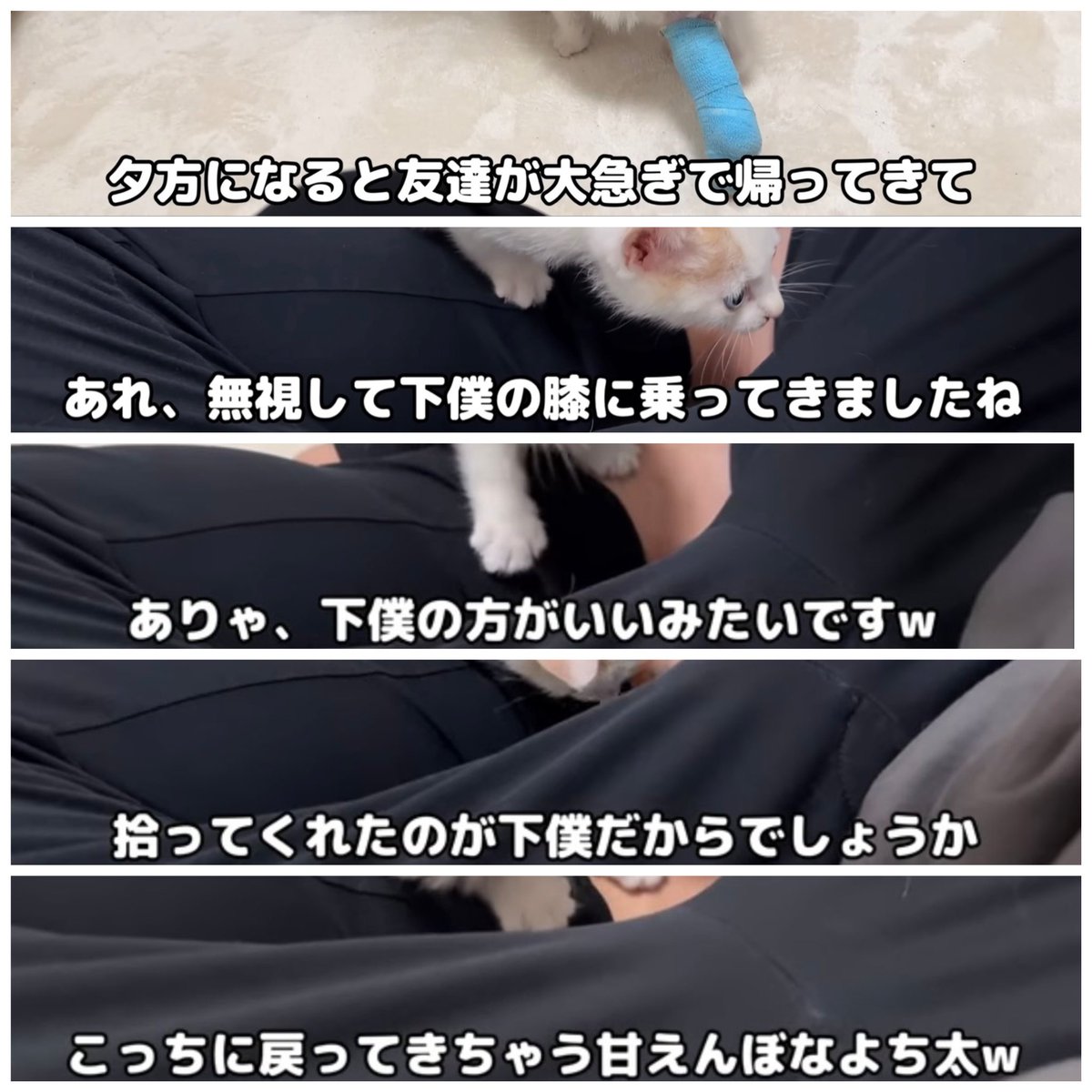 はなざくろ (@hana_zakulo) / Posts / X