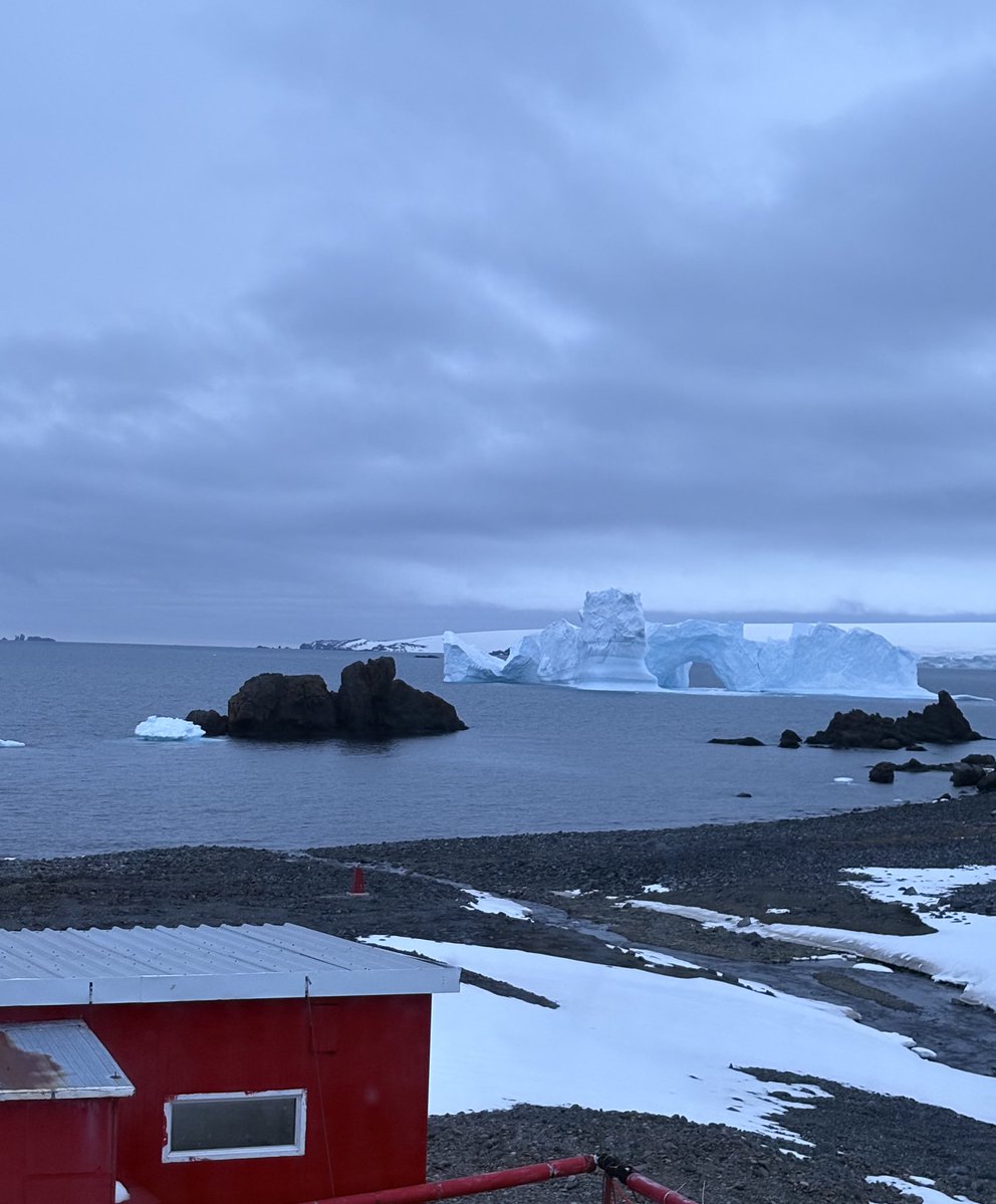 sofisall's tweet image. Tengo la vista más linda del iceberg desde la ventana de mi cuarto 🩵