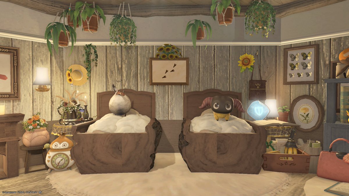 アサ🦤 tweet media