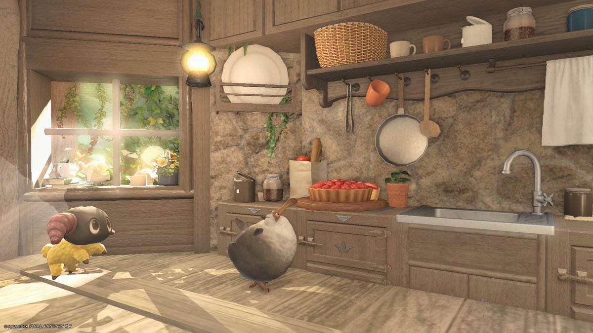 アサ🦤 tweet media