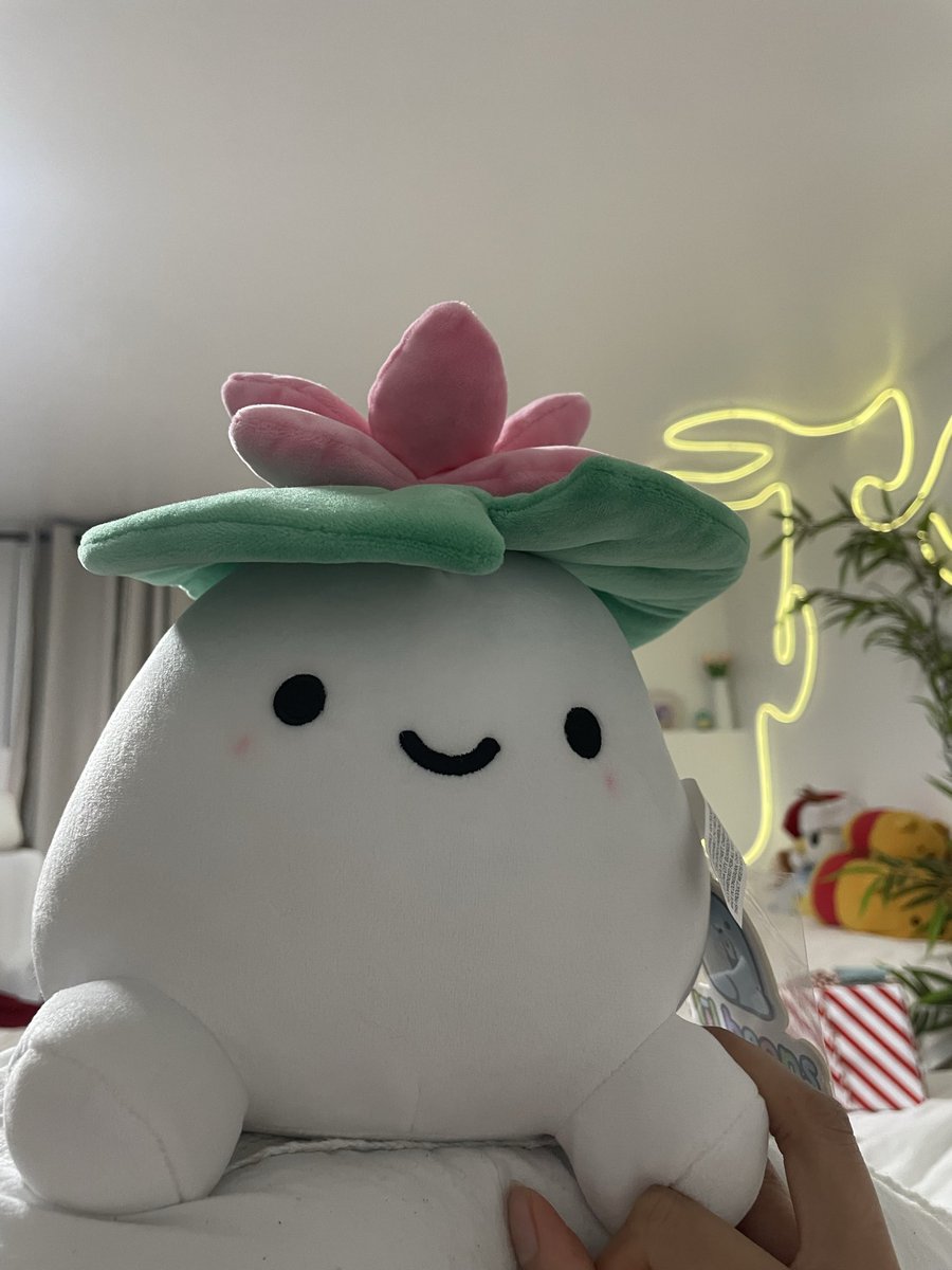 boki4strz's tweet photo. @LilyPichu Im just gonna shoot my shot, it would be such an honor, happy holidays Lily 💗💫⭐️✨ https://t.co/FApFknG5Ci