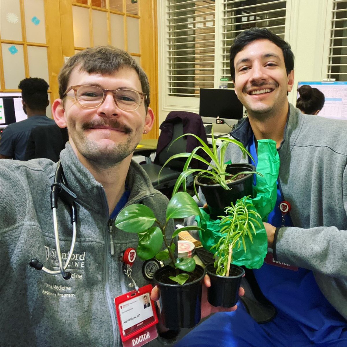 Vicky Avanzato tweet media