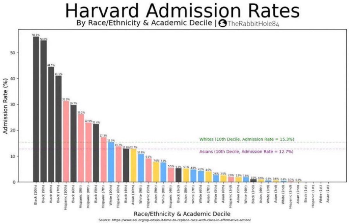 The Rabbit Hole tweet media