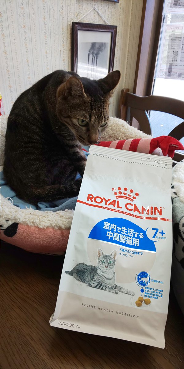 さくら様。専用 ロイヤルカナン 9003579018941_c999_a001_ps.jpg