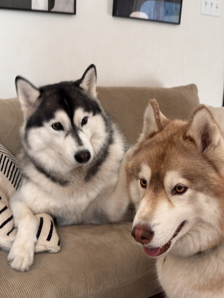 茶々丸チャチャチャ👐 (@chacha_maru1113) / Posts / X