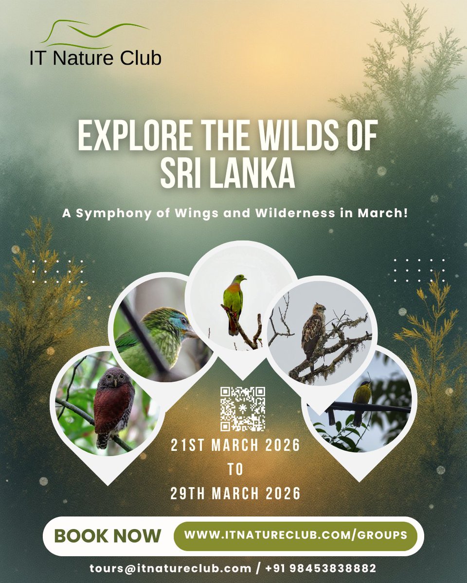 ITNatureClub's tweet photo. Call/WhatsApp for more details
📞 +91 9845383882 https://t.co/bUgBYS9xtM