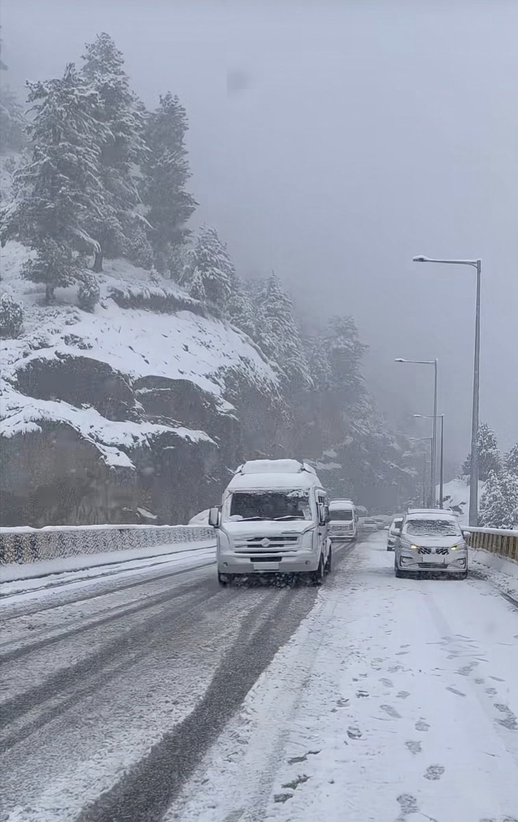 Araids Travel Trips tweet media