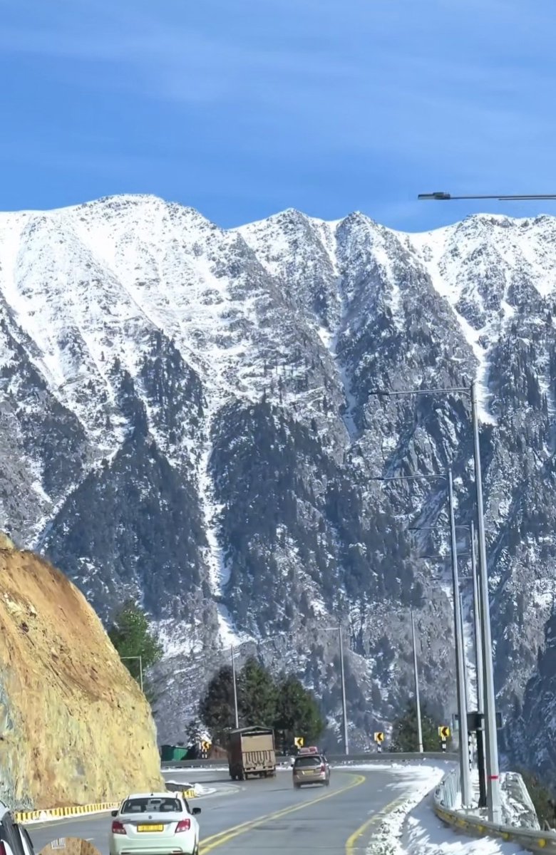 Araids Travel Trips tweet media