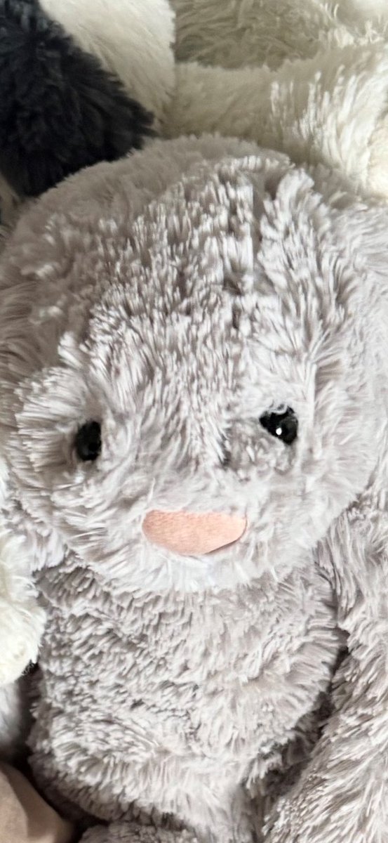 Ding Bunny has been asleep, Ding bunny will now wake up 😉😉😉