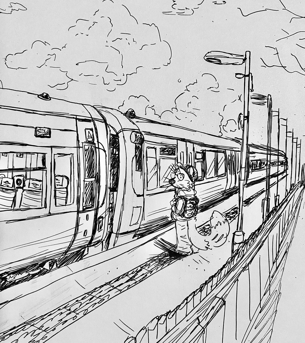 KiwiSodas's tweet photo. Train https://t.co/SPGucmgF4g