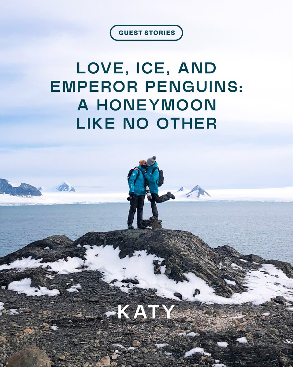 Swan Hellenic tweet media