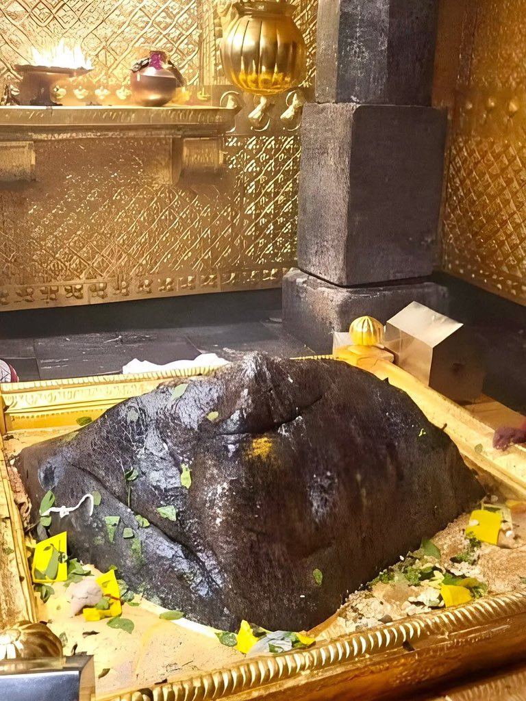 ब्रह्म मुहूर्त में केदारनाथ महादेव के अद्भुत दर्शन ll